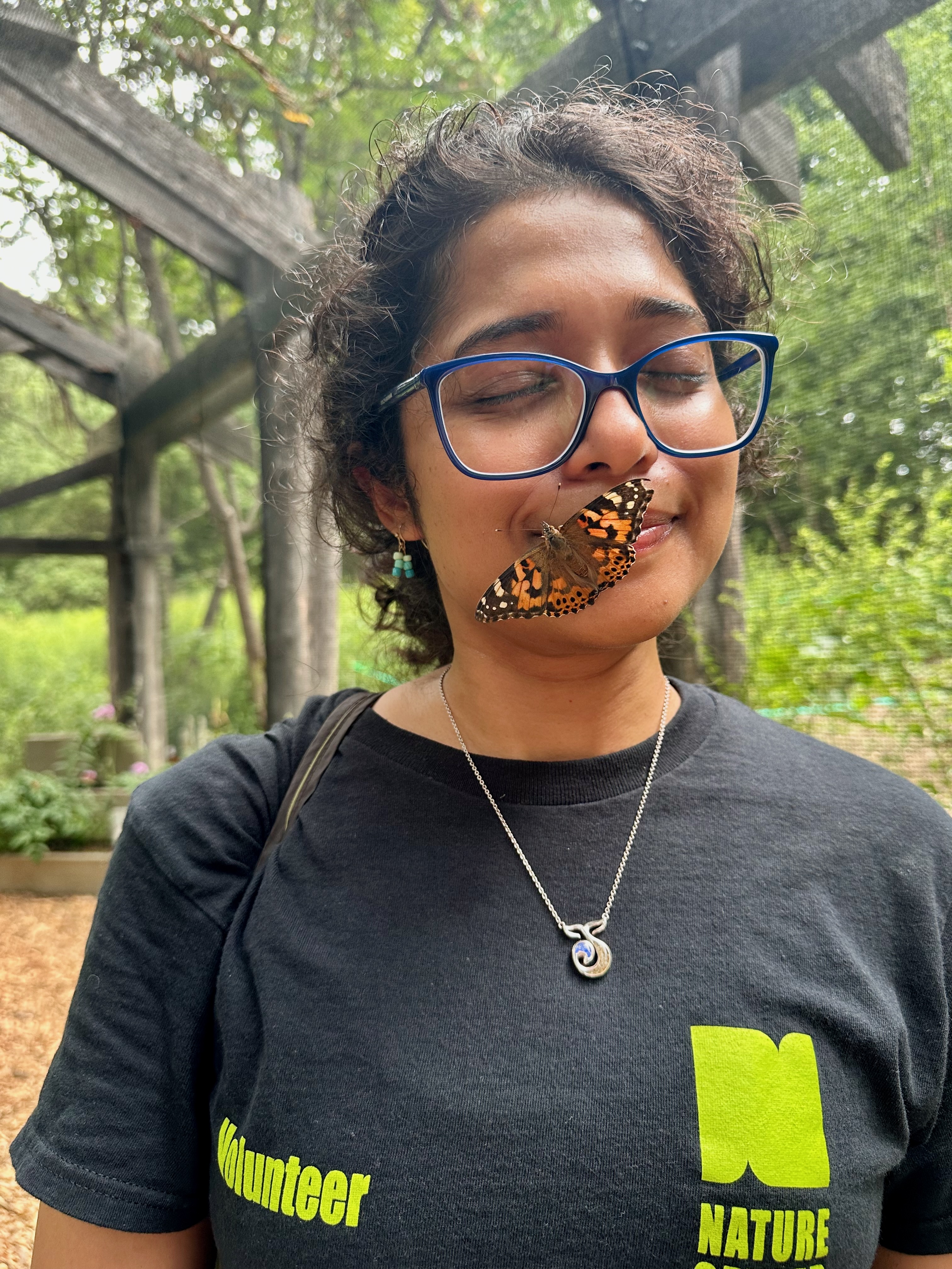 The butterfly (Painted Lady) likes me!